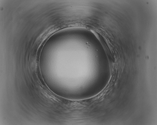 X0000063450290200601201227