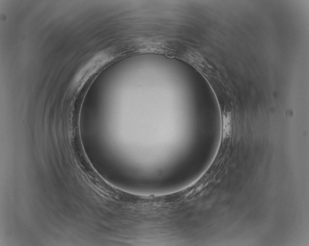 X0000063450291200601201227