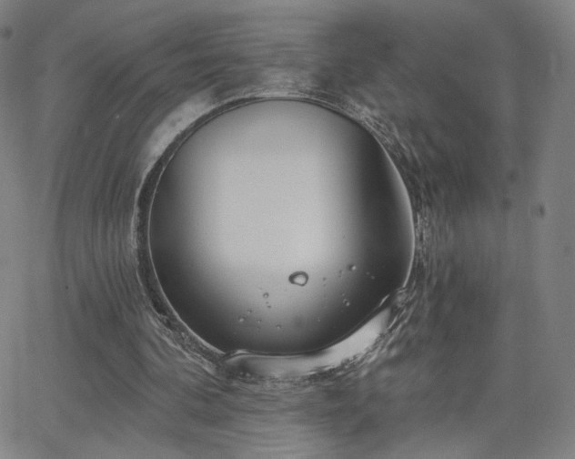 X0000063450292200601201227