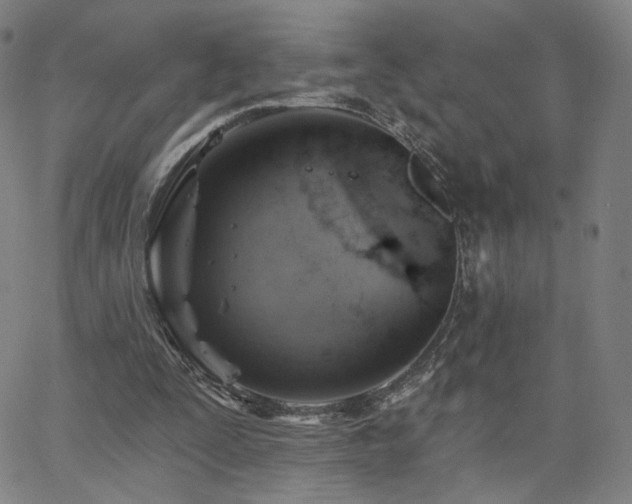 X0000063450295200601201227