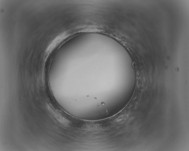 X0000063450296200601201227