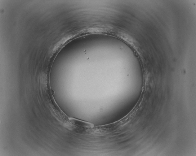 X0000063450297200601201227