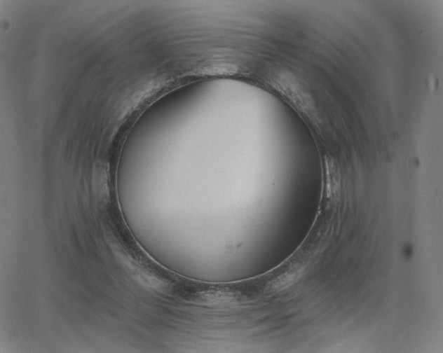 X0000063450300200601201227