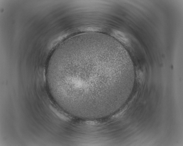 X0000063450302200601201227