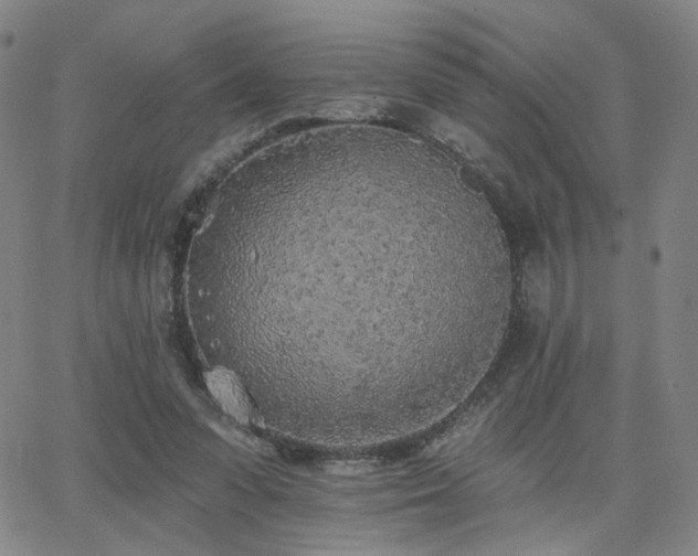 X0000063450303200601201227