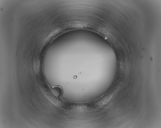 X0000063450304200601201227