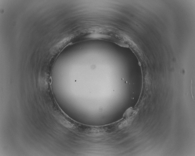 X0000063450305200601201227