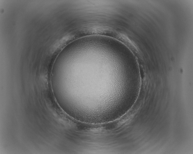 X0000063450306200601201227