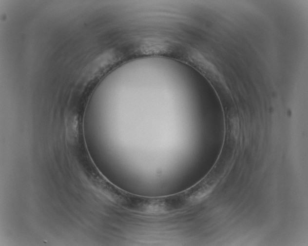 X0000063450308200601201227