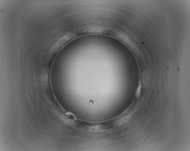 X0000063450309200601201227