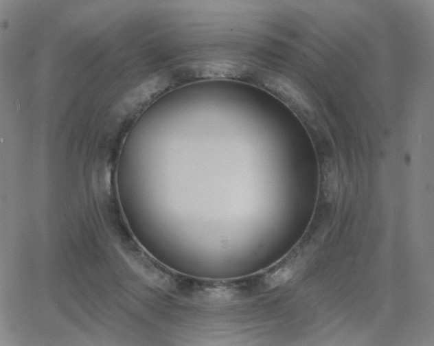 X0000063450310200601201227