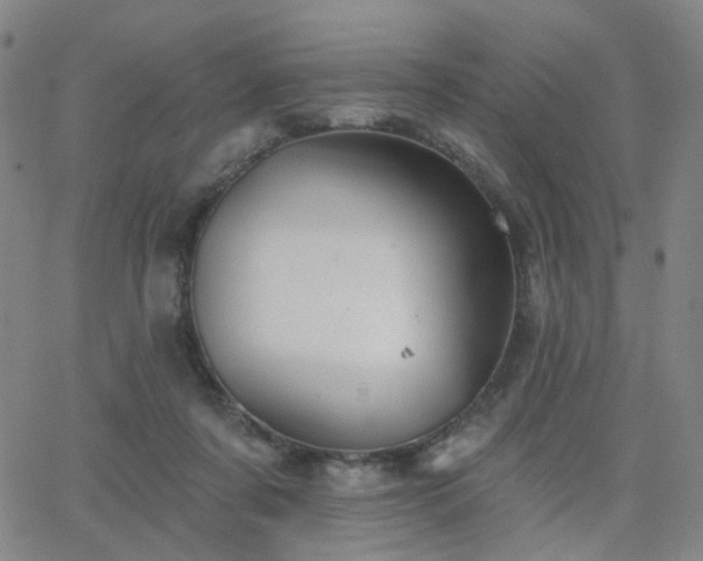 X0000063450311200601201227