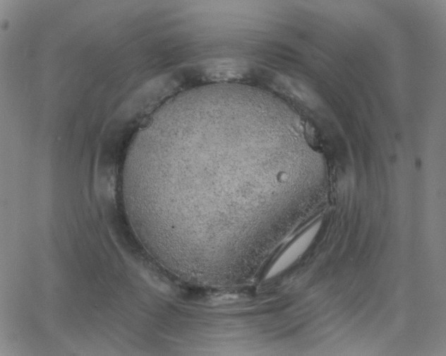 X0000063450315200601201227