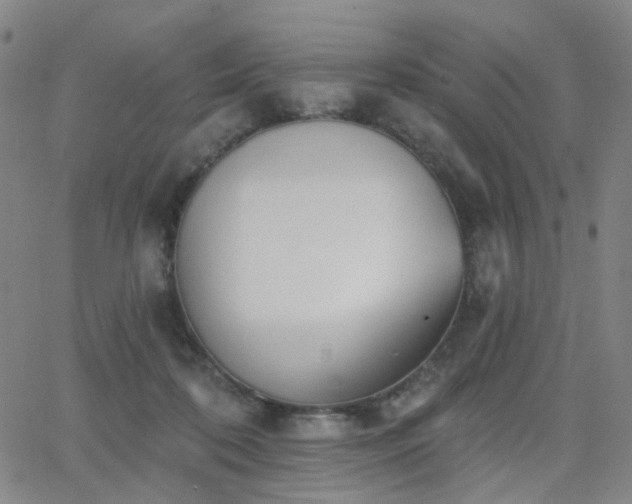 X0000063450316200601201227