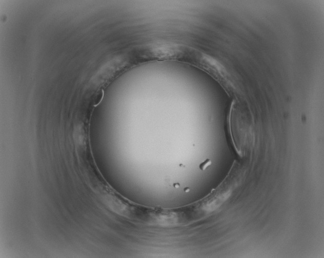 X0000063450317200601201227