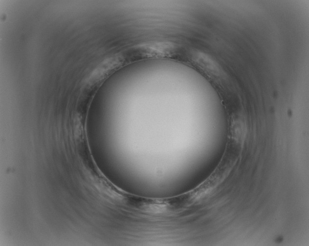 X0000063450318200601201227