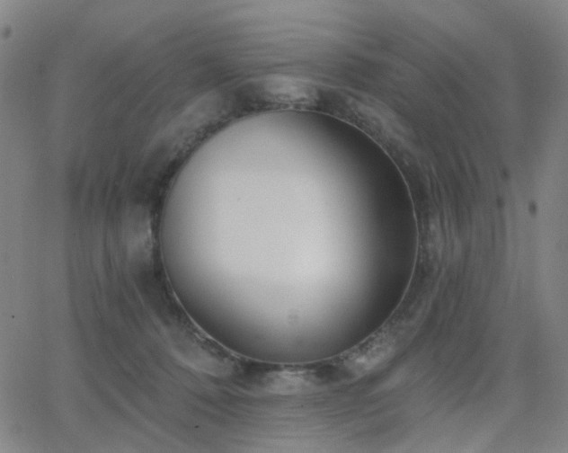 X0000063450320200601201227