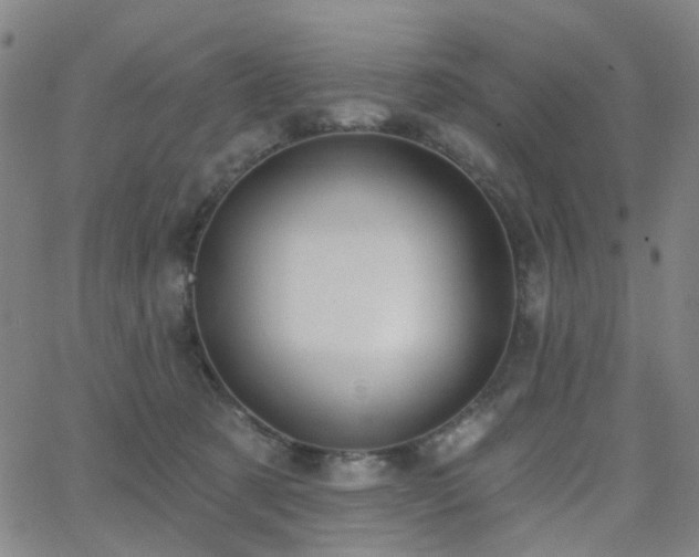 X0000063450321200601201227