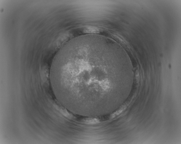 X0000063450322200601201227