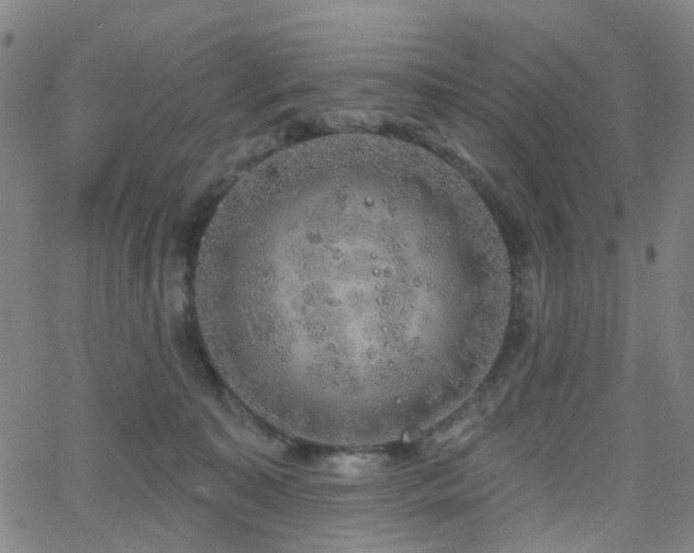 X0000063450323200601201227