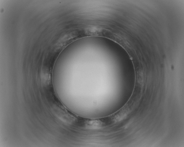 X0000063450324200601201227