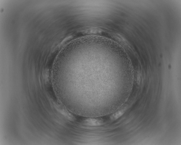 X0000063450326200601201227