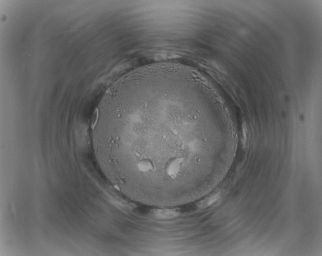 X0000063450327200601201227