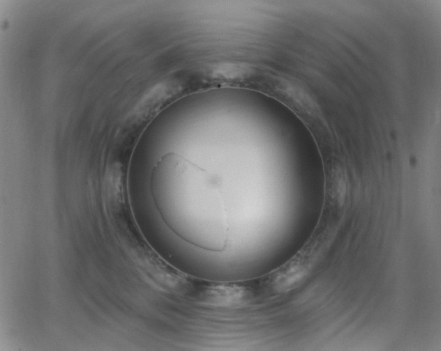 X0000063450328200601201227