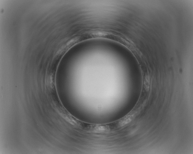 X0000063450330200601201227