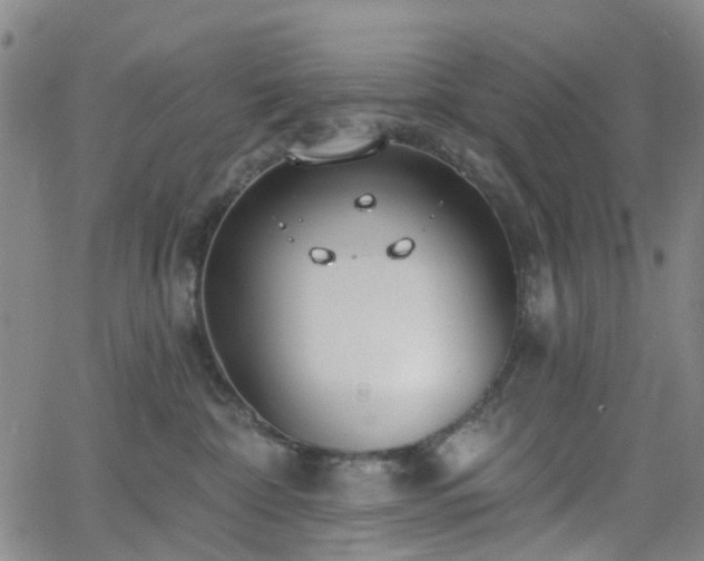 X0000063450332200601201227