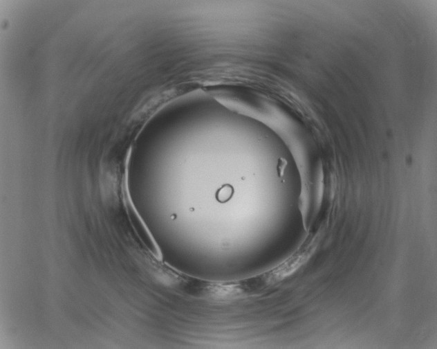 X0000063450333200601201227