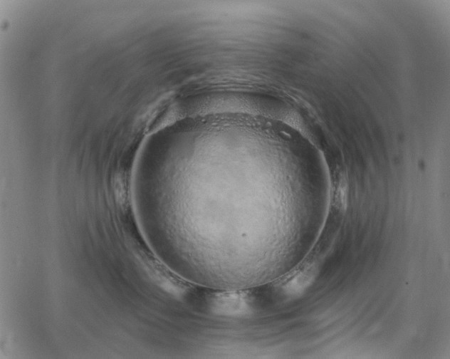 X0000063450335200601201227