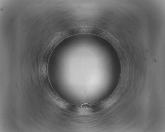 X0000063450336200601201227