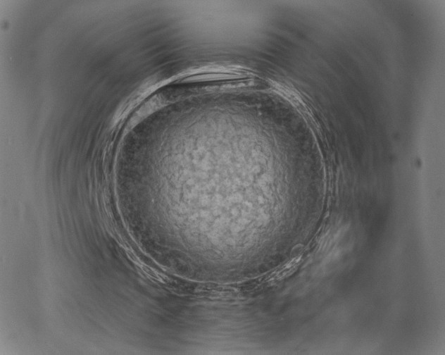 X0000063450337200601201226