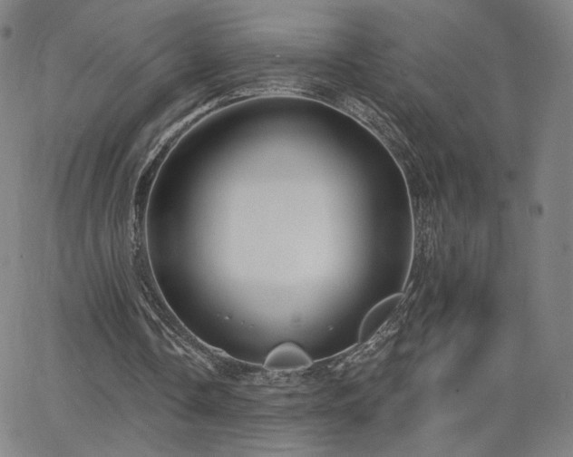 X0000063450338200601201226