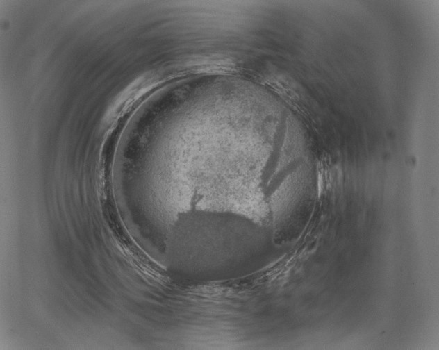 X0000063450339200601201226