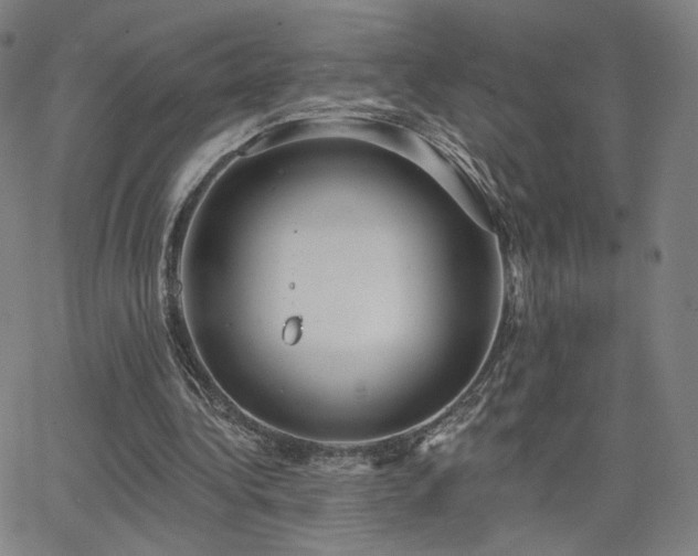 X0000063450340200601201226