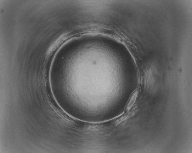 X0000063450341200601201226