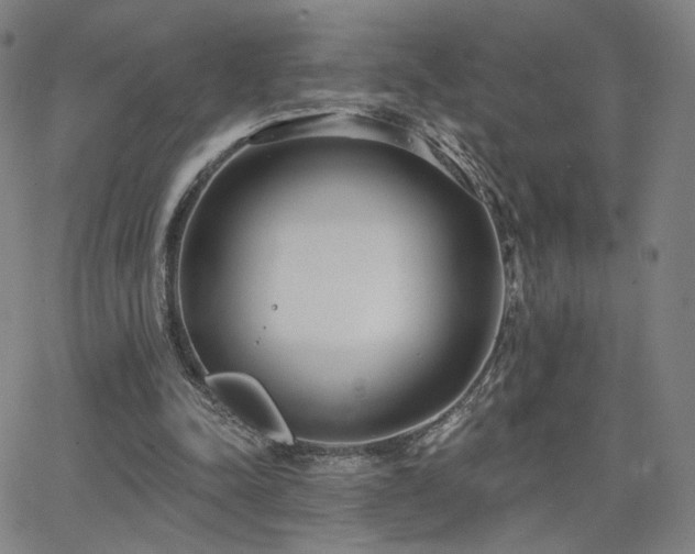 X0000063450342200601201226