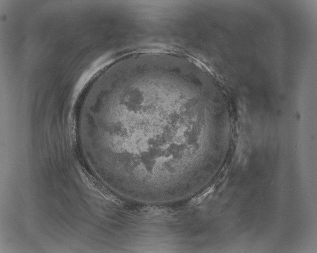 X0000063450343200601201226