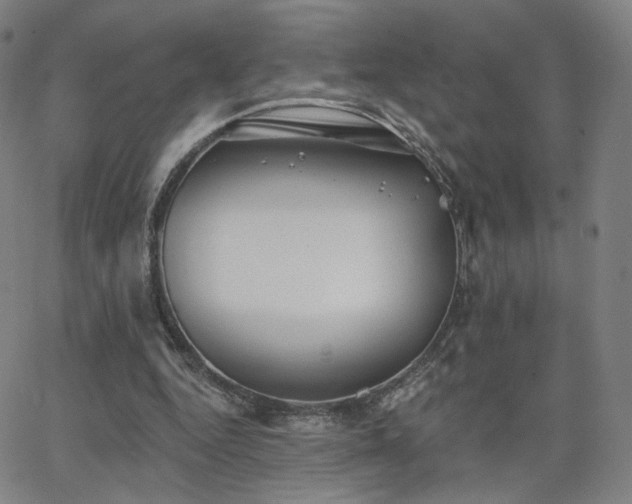 X0000063450344200601201226