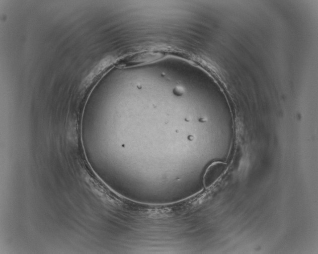 X0000063450345200601201226