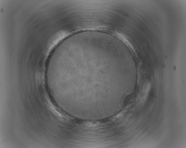 X0000063450346200601201226