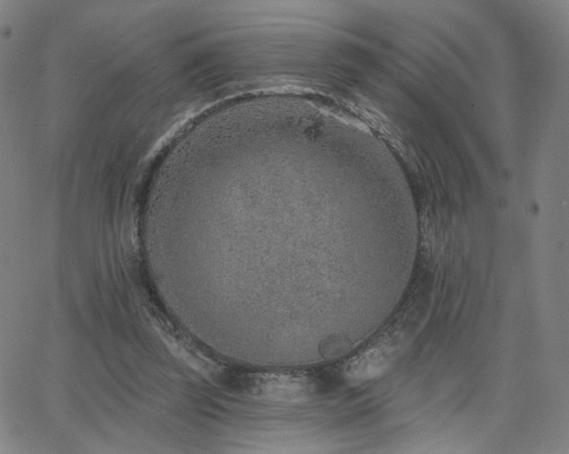 X0000063450347200601201226