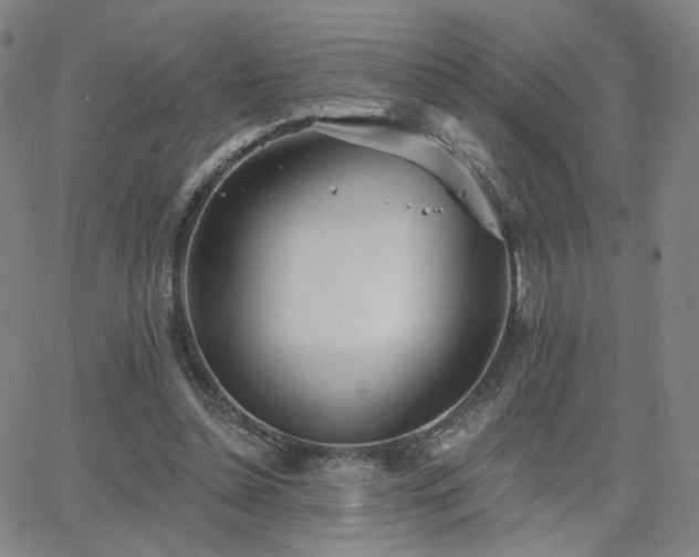 X0000063450348200601201226