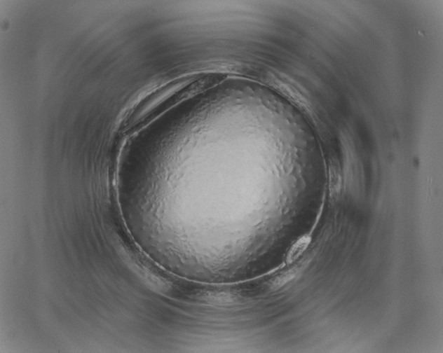 X0000063450349200601201226