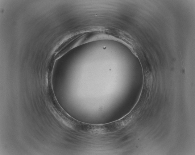 X0000063450350200601201226