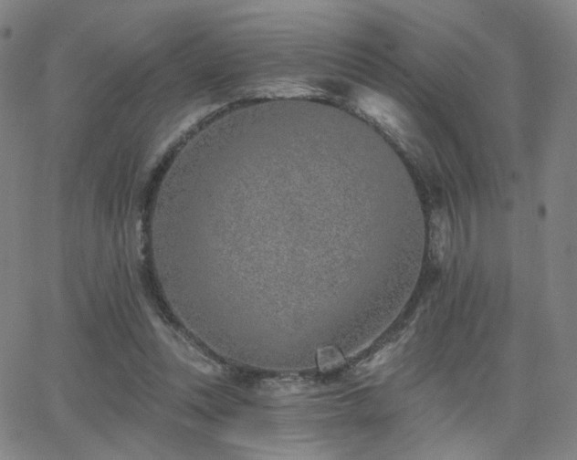 X0000063450351200601201226