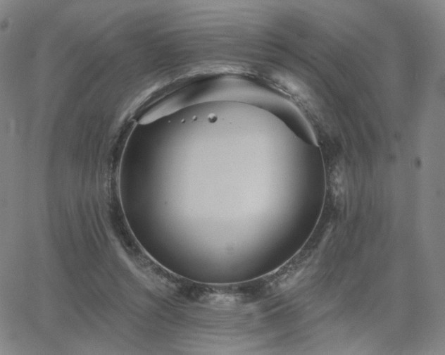 X0000063450352200601201226