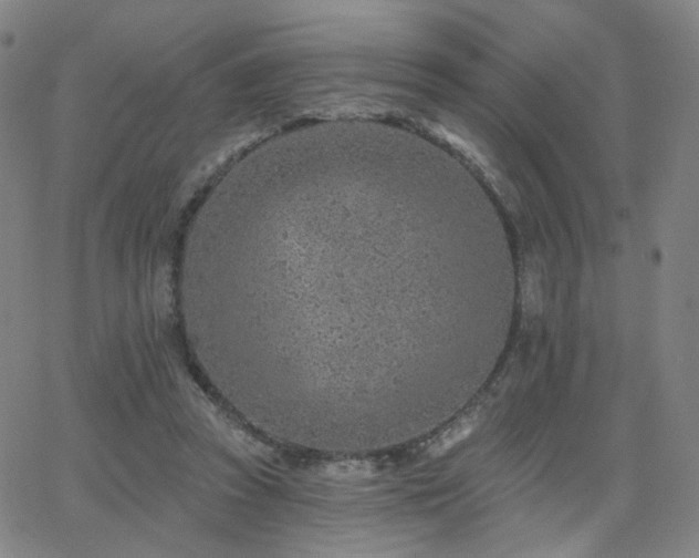 X0000063450353200601201226